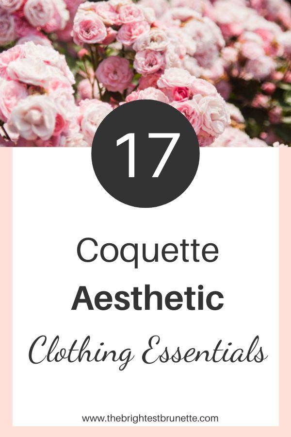 25 Best Coquette Wardrobe Essentials For Your Daily Coquette Outfits -  Rozaliee